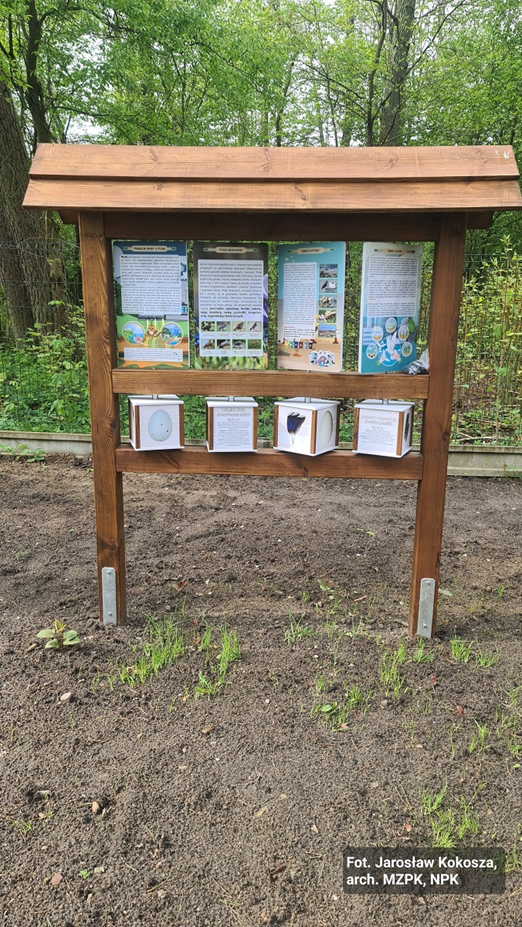 Tablica edukacyjna. Drewniana tablica edukacyjna stojąca wśród drzew. W górnej części obracalne panele z opisami, w dolnej obracalne kostki z rysunkami.