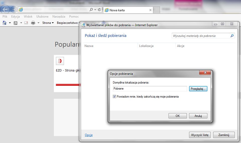 Ekran o nazwie 'Wyświetlanie plików do pobrania - Internet Explorer'.