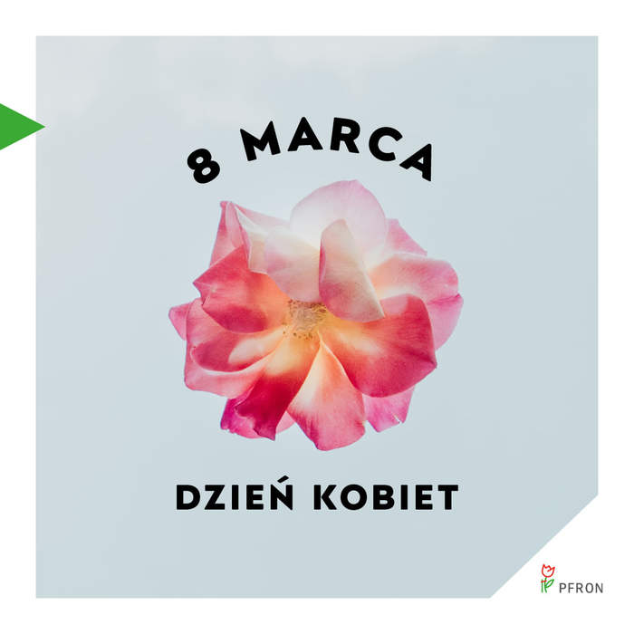 Pokaż zdjęcie: Napis "8 marca Dzień Kobiet" i płatek róży w kolorze rózowym