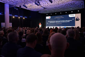 Pokaż zdjęcie: Zdjęcie z tyłu sali konferencyjnej w kierunku prelegenta.
