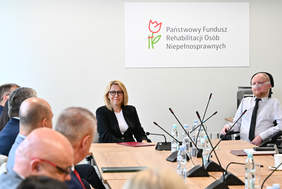 Pokaż zdjęcie: Grupa osób przy stołach w sali konferencyjnej, w tle logo PFRON-u