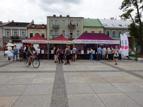 Pokaż zdjęcie: Targi pracy na rynku nr 3