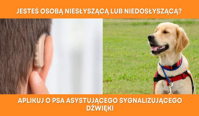 Pokaż zdjęcie: Na plakacie są 2 zdjęcia po lewej stronie fragment głowy z widocznym aparatem słuchowym, po prawej pies w asystujący. Na górnej i dolnej krawędzi zdjęcia znajdują się pomarańczowe paski z białym napisem. 