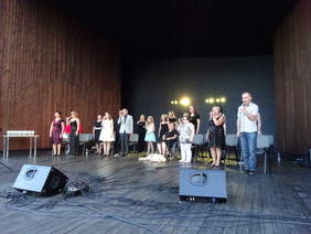 Pokaż zdjęcie: Uczestnicy koncertu "Widzieć muzyką" w Horyńcu-Zdroju