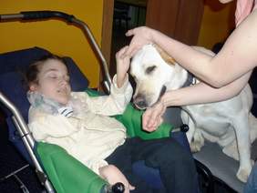 Dogoterapia
