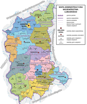 Pokaż zdjęcie: Grafika przedstawiająca mapę województwa lubuskiego