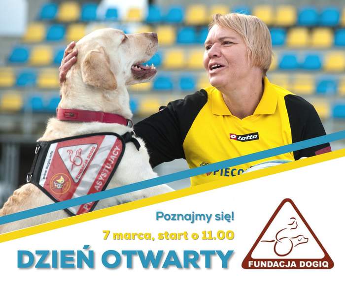 Pokaż zdjęcie: Plakat