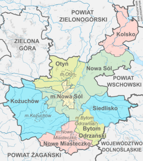 Pokaż zdjęcie: Mapa powiatu nowosolskiego z podziałemna gminy, w kolorach