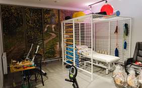 Pokaż zdjęcie: Sala rehabilitacyjna wyposażona w sprzęty do rehabilitacji 