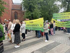 Pokaż zdjęcie: Korowód ulicami miasta