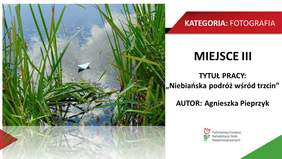KATEGORIA: FOTOGRAFIA MIEJSCE III TYTUŁ PRACY: „Niebiańska podróż wśród trzcin" AUTOR: Agnieszka Pieprzyk