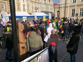 Pokaż zdjęcie: 