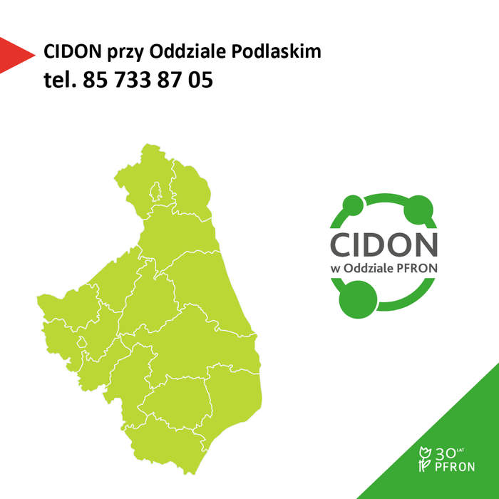Pokaż zdjęcie: Symbol Centrum informacyjno-doradczego dla osób z niepełnosprawnością