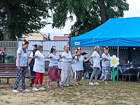 Pokaż zdjęcie: Piknik Rodzinny w DPS