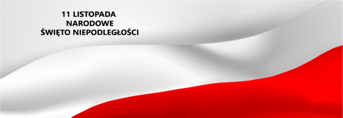 Pokaż zdjęcie: Flaga biało-czerwona Narodowy Dzień Niepodległości 