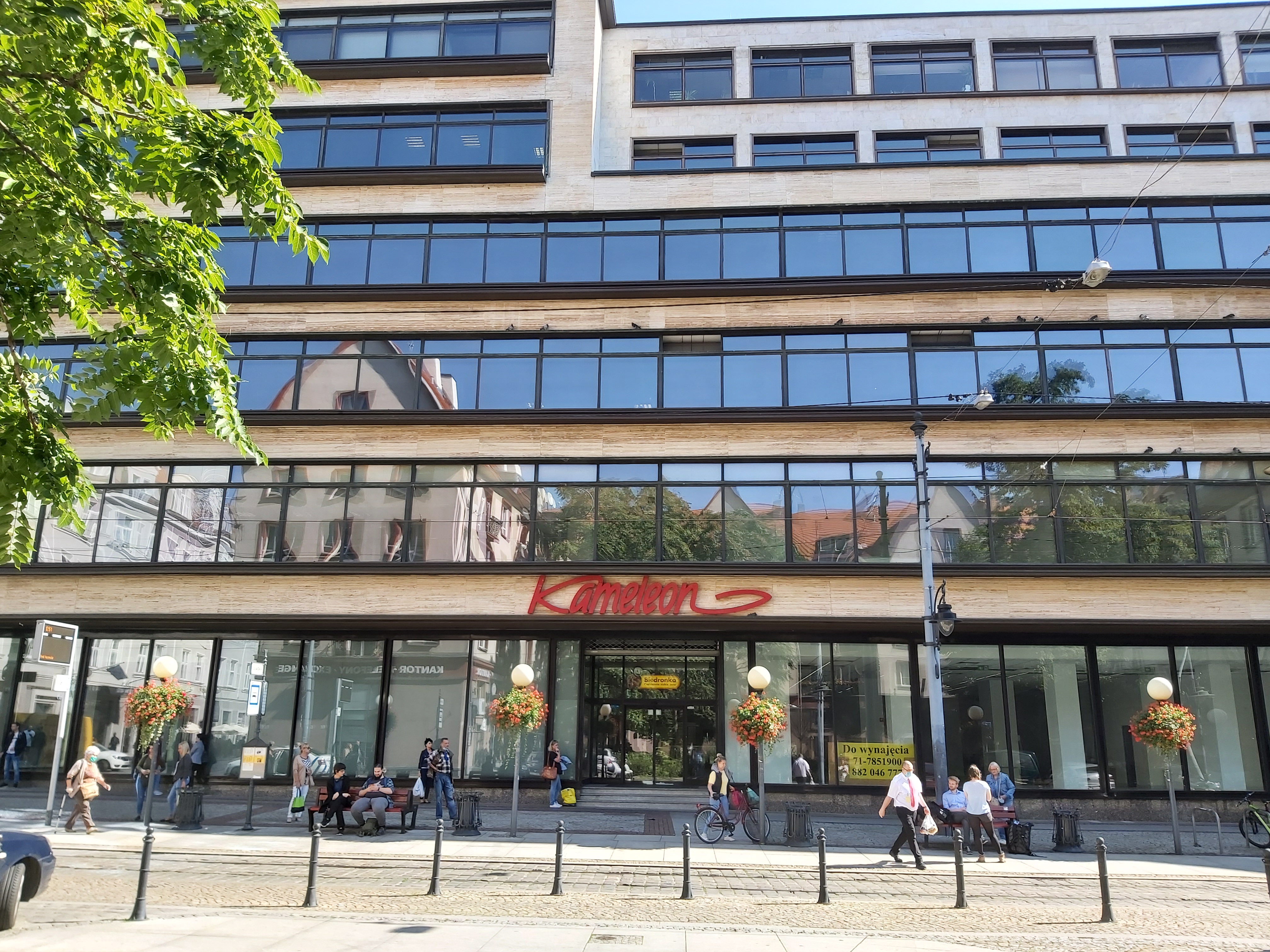 Front budynku, w którym siedzibę ma Odział Dolnośląski PFRON. Sześciokondygnacyjny budynek z dużymi przeszkleniami. Nad wejściem centralnym czerwony napis „Kameleon”. Przed budynkiem latarnie uliczne z kulistymi lampami, obwieszone kwiatami. Przed latarniami przystanek tramwajowy, na którym na ławeczkach oczekują ludzie. Na pierwszym planie słupki metalowe na chodniku, zakazujące parkowania. W szklanych powierzchniach budynku odbija się przeciwległa stroną ulicy, widać drzewa i domy pokryte czerwoną dachówką.